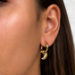Moony Earrings